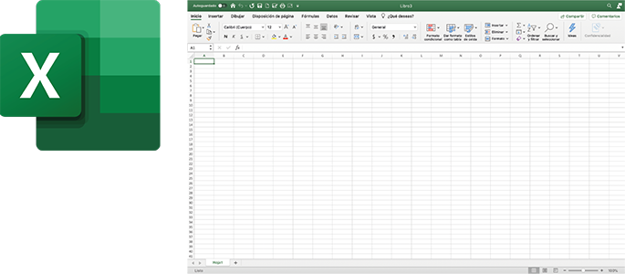 Excel